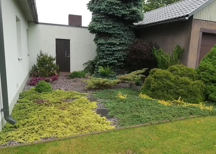 Orion Majutus Guest house